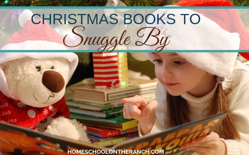 Christmas books to snuggle by and read